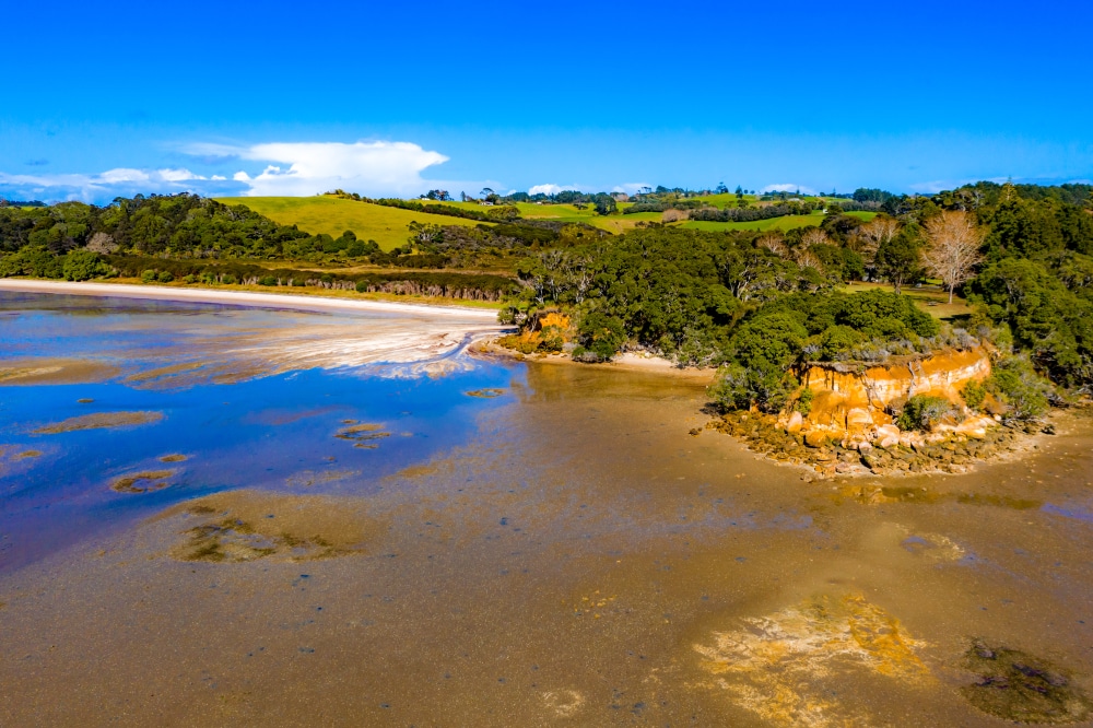 Awhitu,Regional,Park,,Waiuku,,New,Zealand